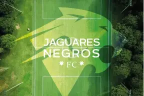 Vista aérea de una cancha de fútbol con el logo de Jaguares Negros