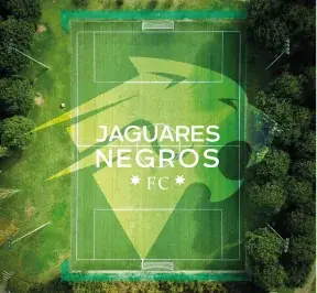 Vista aérea de una cancha con el logo de Jaguares Negros