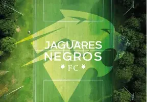 Vista aérea de una cancha de fútbol con el logo de Jaguares Negros